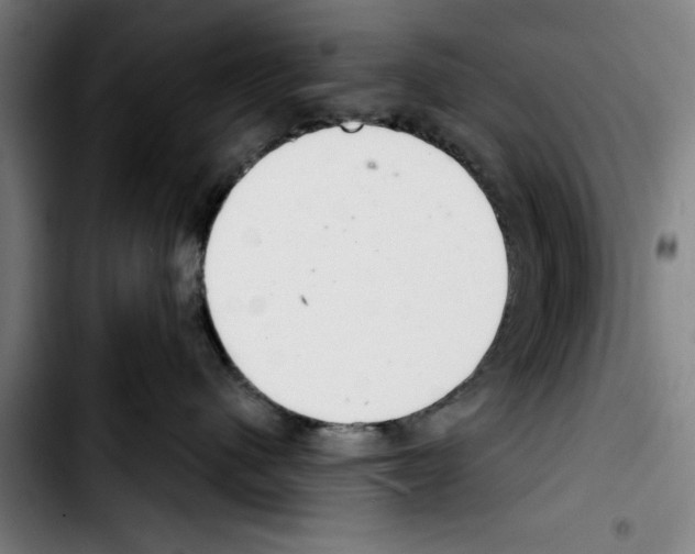 X0000103400480200810241015