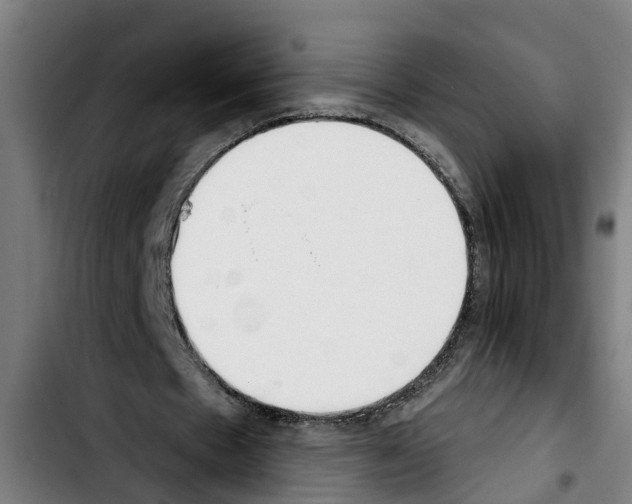 X0000103400481200810241014