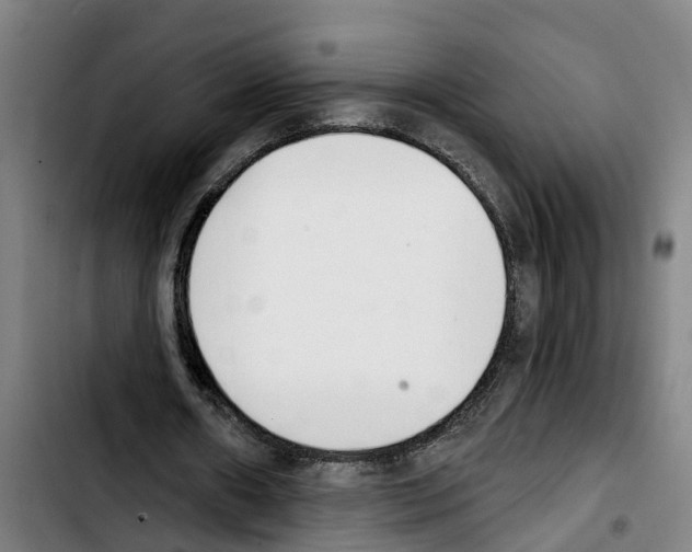 X0000103400482200810241014