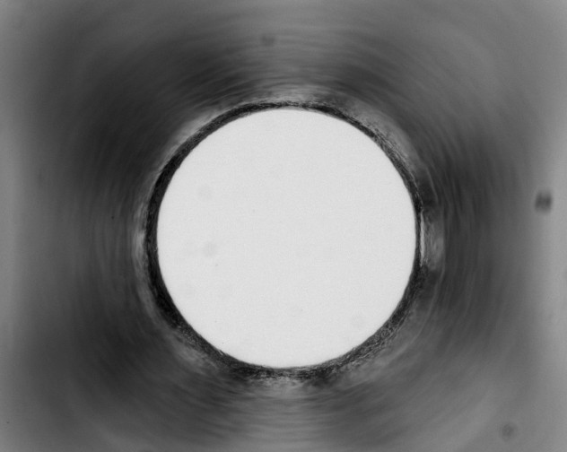 X0000103400483200810241014