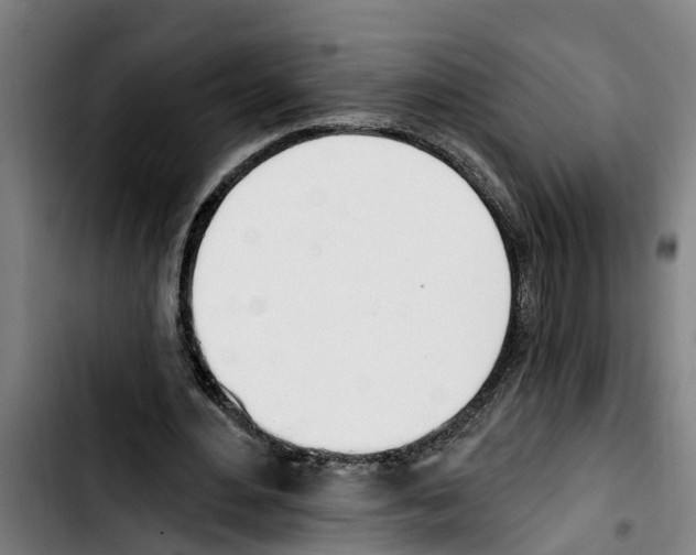 X0000103400484200810241014