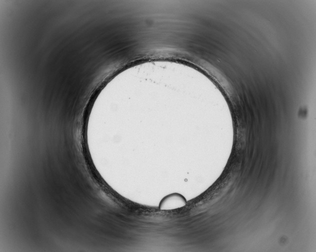 X0000103400485200810241014