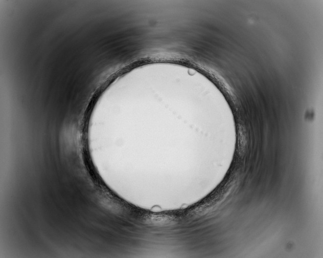 X0000103400487200810241014