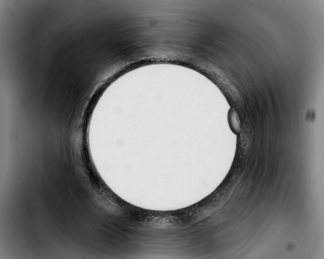 X0000103400488200810241014