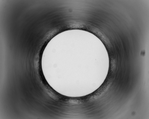 X0000103400490200810241014