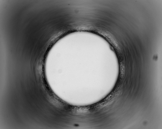 X0000103400491200810241014