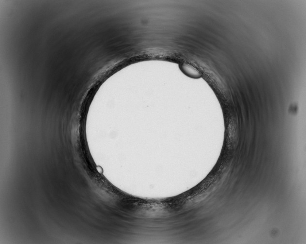 X0000103400492200810241014