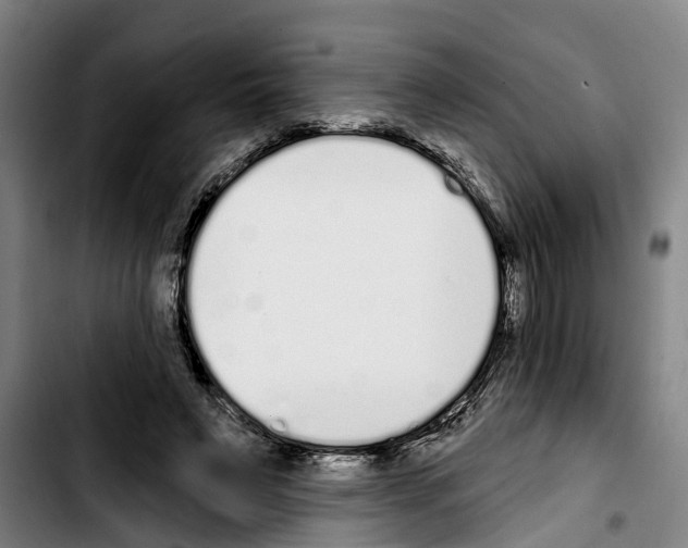 X0000103400495200810241014