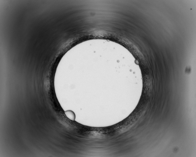 X0000103400496200810241014