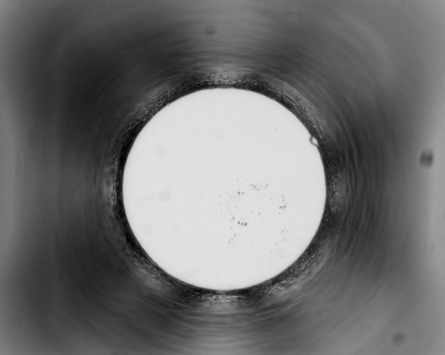 X0000103400497200810241014