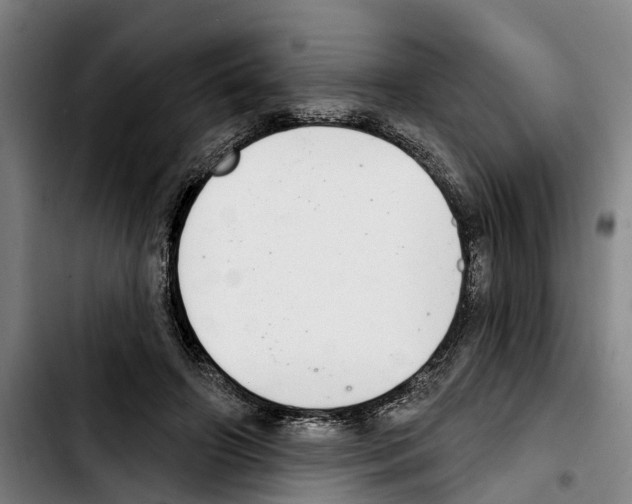 X0000103400498200810241014