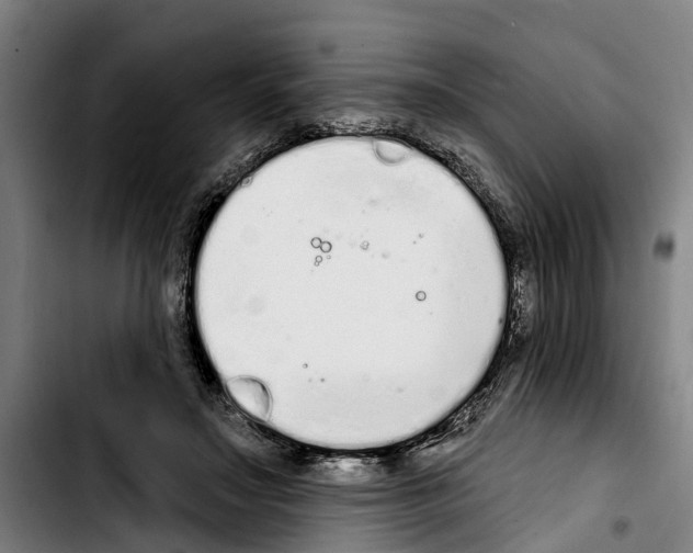 X0000103400499200810241014