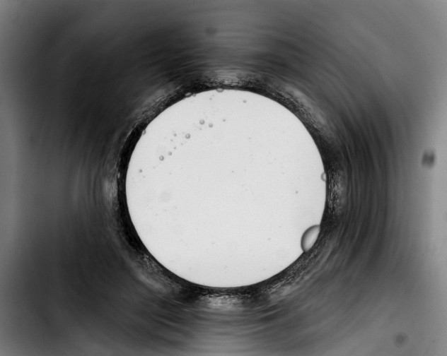 X0000103400500200810241014