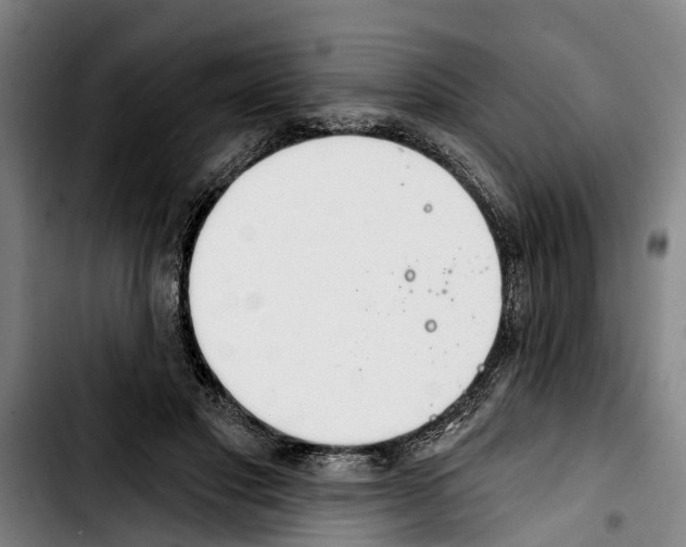 X0000103400501200810241014