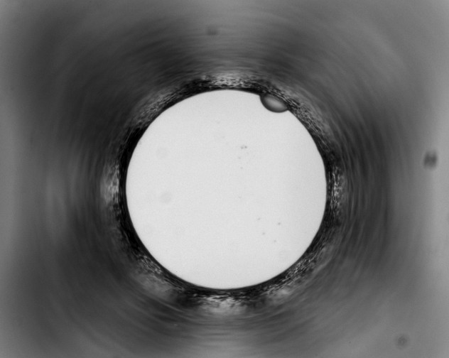 X0000103400502200810241014