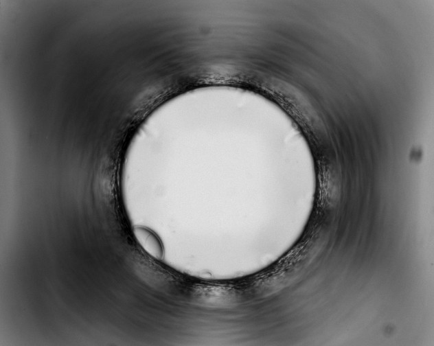 X0000103400503200810241014