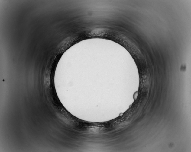 X0000103400504200810241014