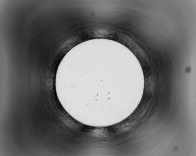 X0000103400505200810241014