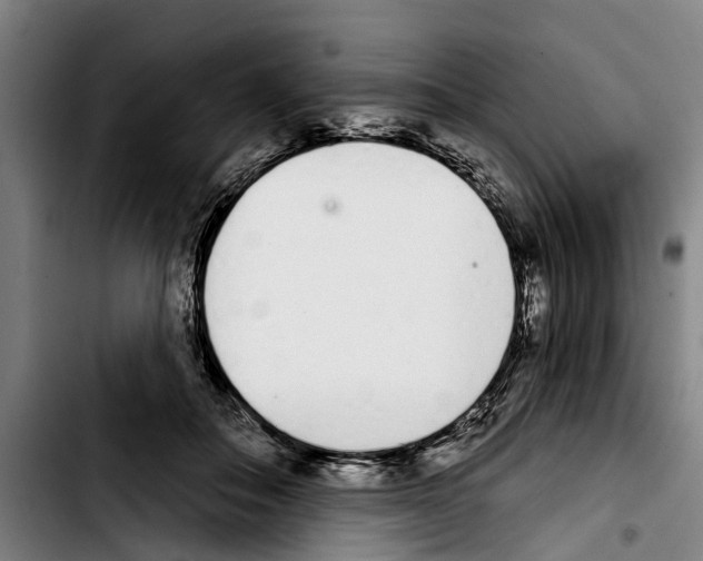 X0000103400506200810241014