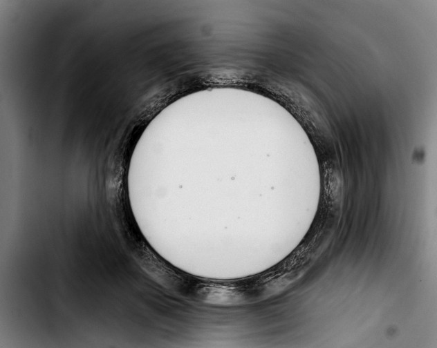 X0000103400507200810241014