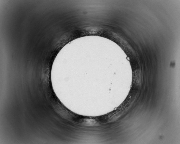 X0000103400509200810241014