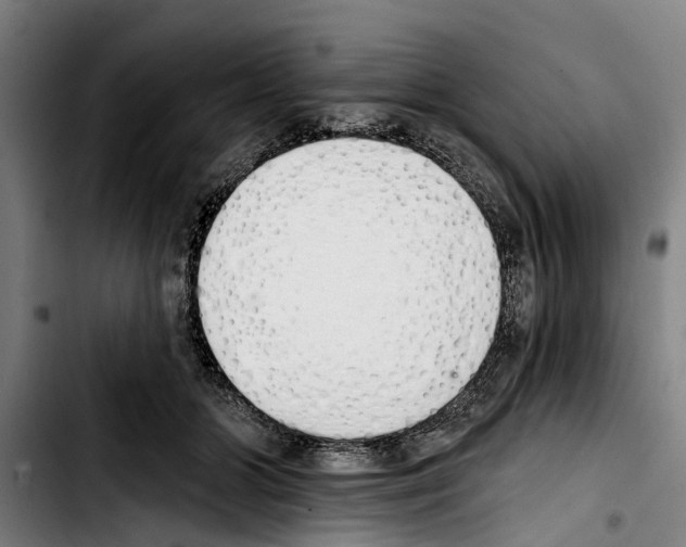 X0000103400510200810241014