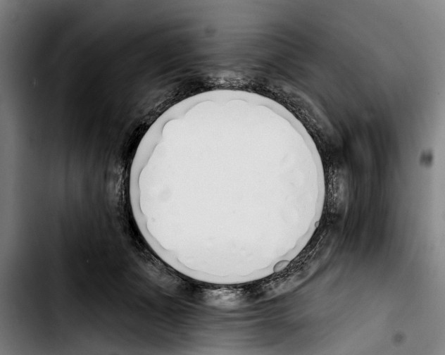 X0000103400511200810241014