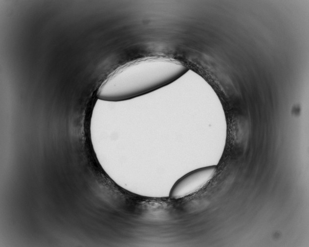 X0000103400512200810241014