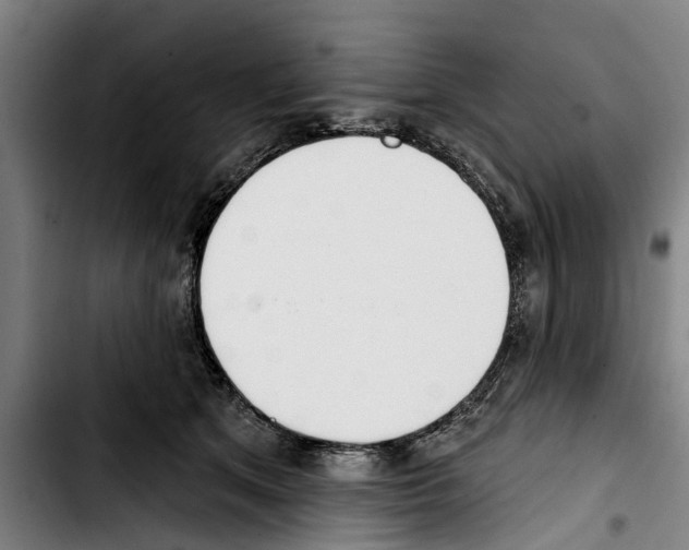 X0000103400513200810241014