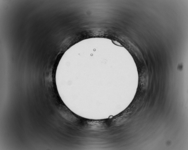 X0000103400516200810241014