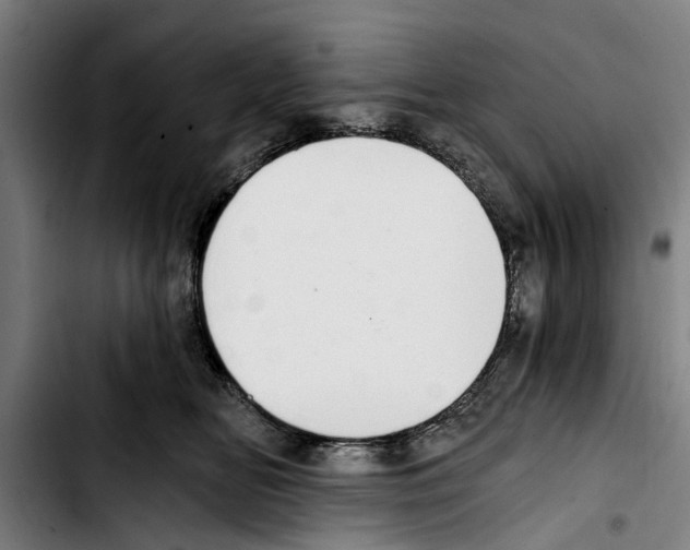 X0000103400518200810241013