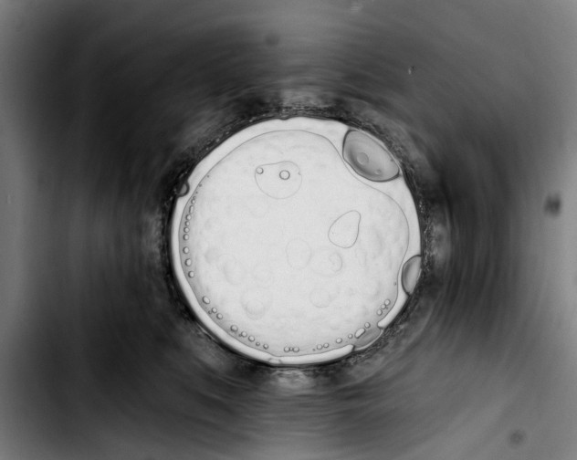 X0000103400519200810241013