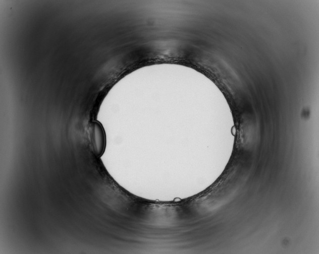 X0000103400520200810241013