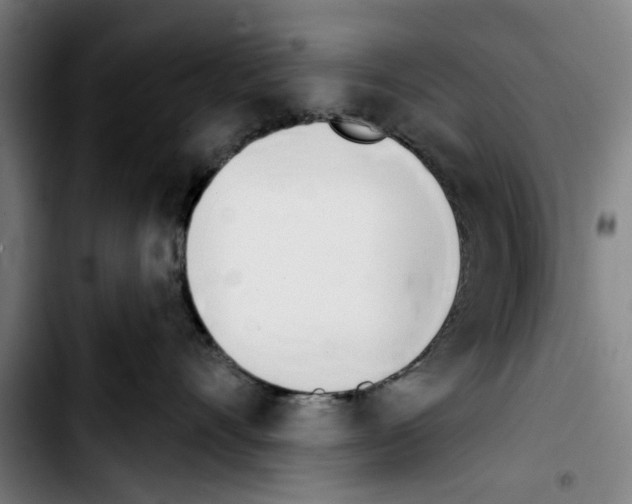 X0000103400528200810241013