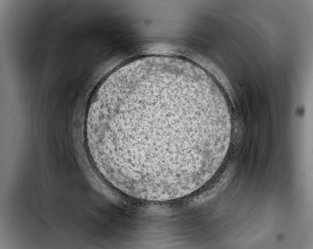 X0000103400529200810241013