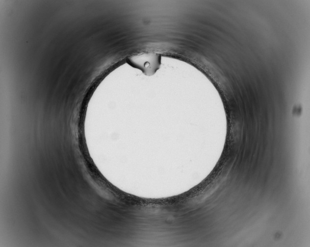 X0000103400530200810241013