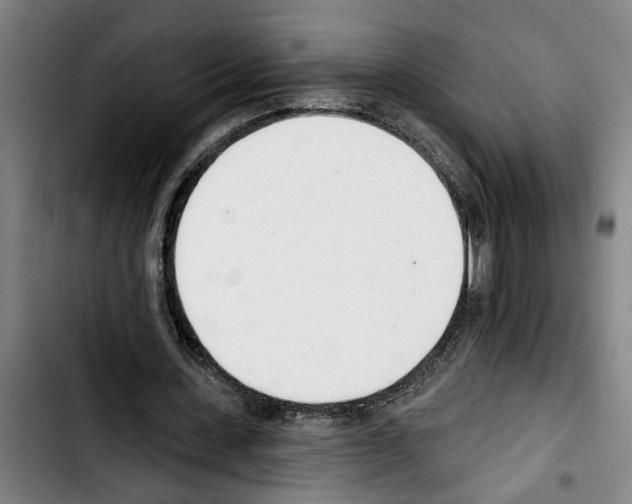 X0000103400531200810241013