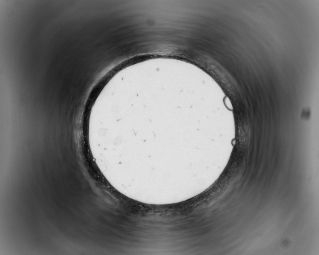 X0000103400532200810241013