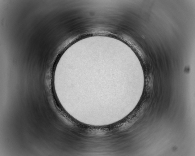 X0000103400533200810241013