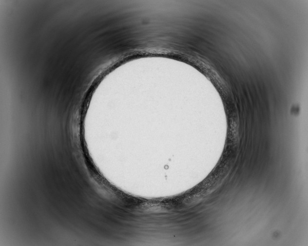 X0000103400534200810241013