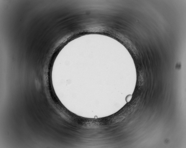 X0000103400535200810241013