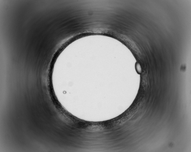 X0000103400536200810241013