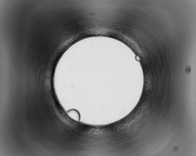 X0000103400538200810241013