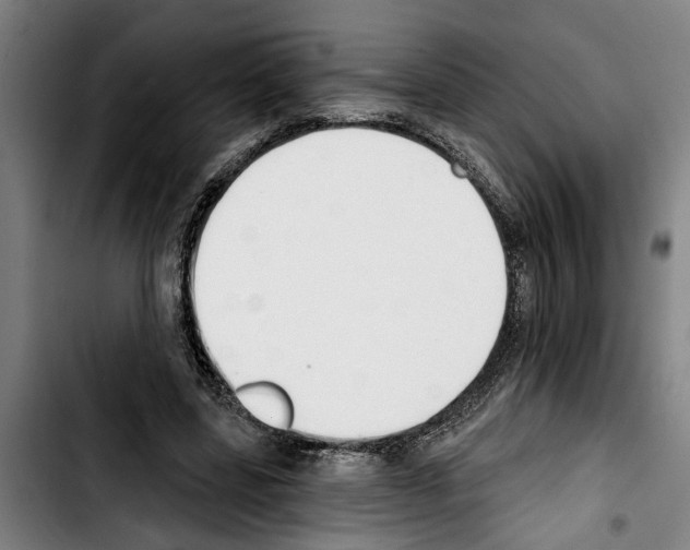 X0000103400539200810241013