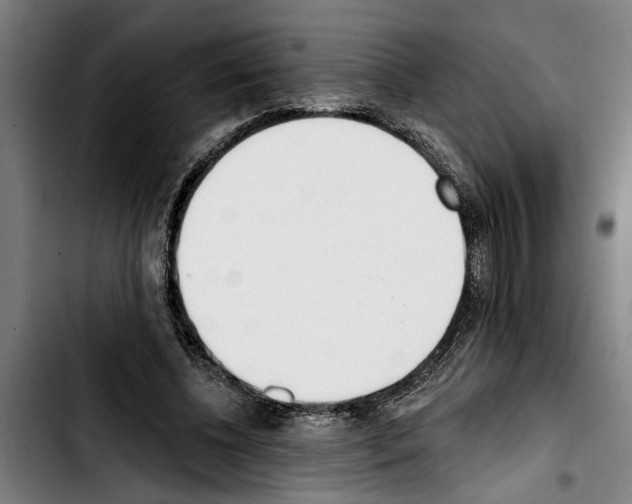 X0000103400540200810241013