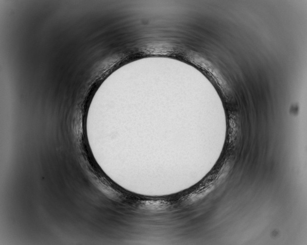 X0000103400541200810241013