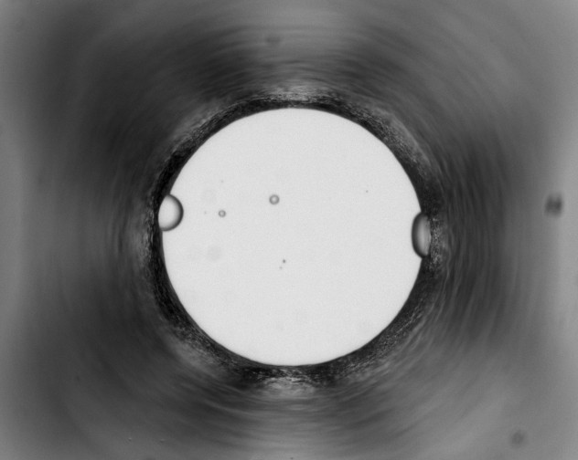 X0000103400544200810241013