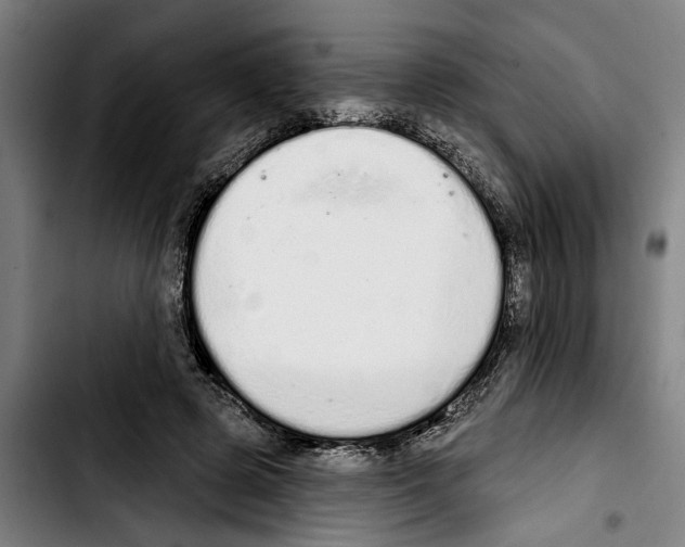 X0000103400545200810241013