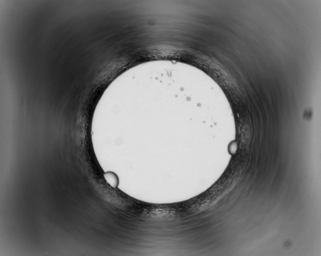 X0000103400546200810241013