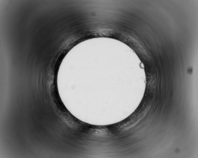 X0000103400548200810241013